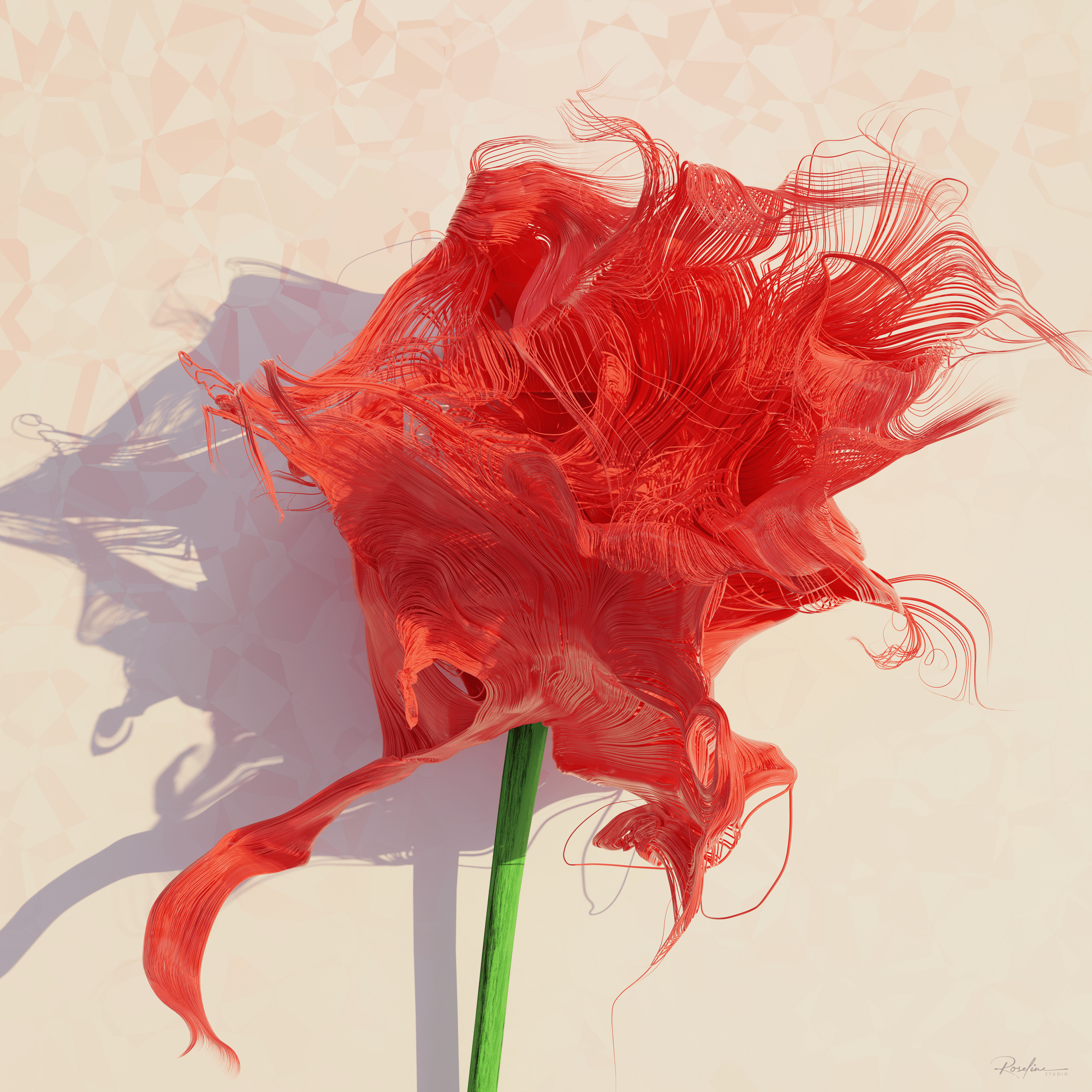 Rosey's Rose